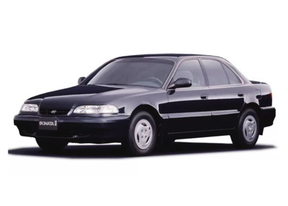 Ворсовые коврики на Hyundai Sonata 3 (Y3) 1993 - 1998 в Кирове