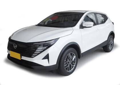EVA коврики на Nissan Qashqai (J11) Glory / Honor (Китай) 2024 - 2026 в Кирове EVA коврики на Nissan Qashqai (J11) Glory / Honor (Китай) 2024 - 2026 в Кирове