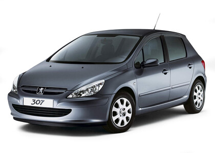 Коврики на Peugeot 307 2001 - 2008 в Кирове