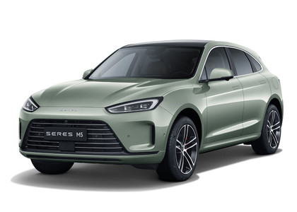 Коврики на Seres M5 2021 - 2025 в Кирове