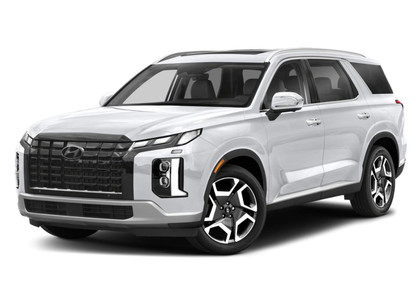 Ворсовые коврики на Hyundai Palisade 2018 - 2025 в Кирове