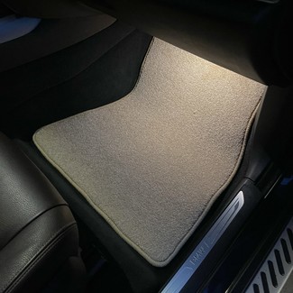Коврики на BMW X5 (F15) 2013 - 2018 в Кирове