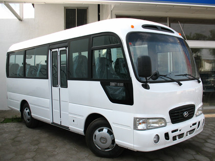 Ворсовые коврики на Hyundai County 2006 - 2016 в Кирове