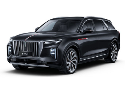 Коврики на Hongqi E-HS9 2022 - 2025 в Кирове