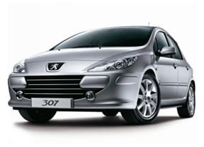 Коврики на Peugeot 307 2001 - 2008 в Кирове