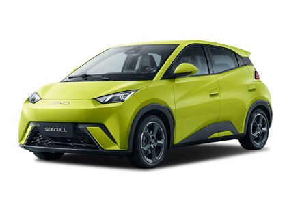Коврики на BYD Seagull 1 2023&nbsp;-&nbsp;2026 в Кирове
