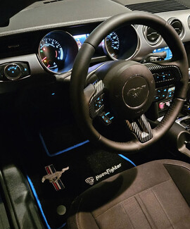 Ворсовые коврики на Ford Mustang VI 2013&nbsp;-&nbsp;2023 в Кирове