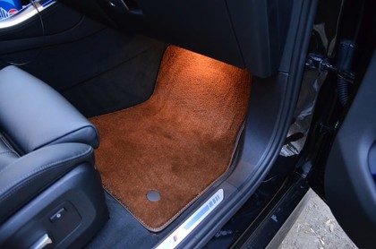 Коврики на BMW X5 (G05/G18) 2018 - 2025 в Кирове