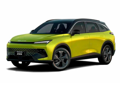Коврики на Baic X55 2022 - 2025 в Кирове
