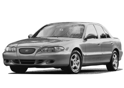 Ворсовые коврики на Hyundai Sonata 3 (Y3) 1993 - 1998 в Кирове