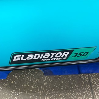 Коврики на Лодки Gladiator E350S  в Кирове