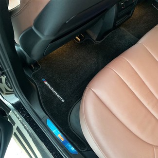 Коврики на BMW X5 (G05/G18) 2018 - 2025 в Кирове