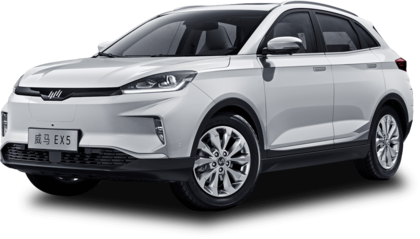 Коврики на Weltmeister EX5 2018 - 2022 в Кирове